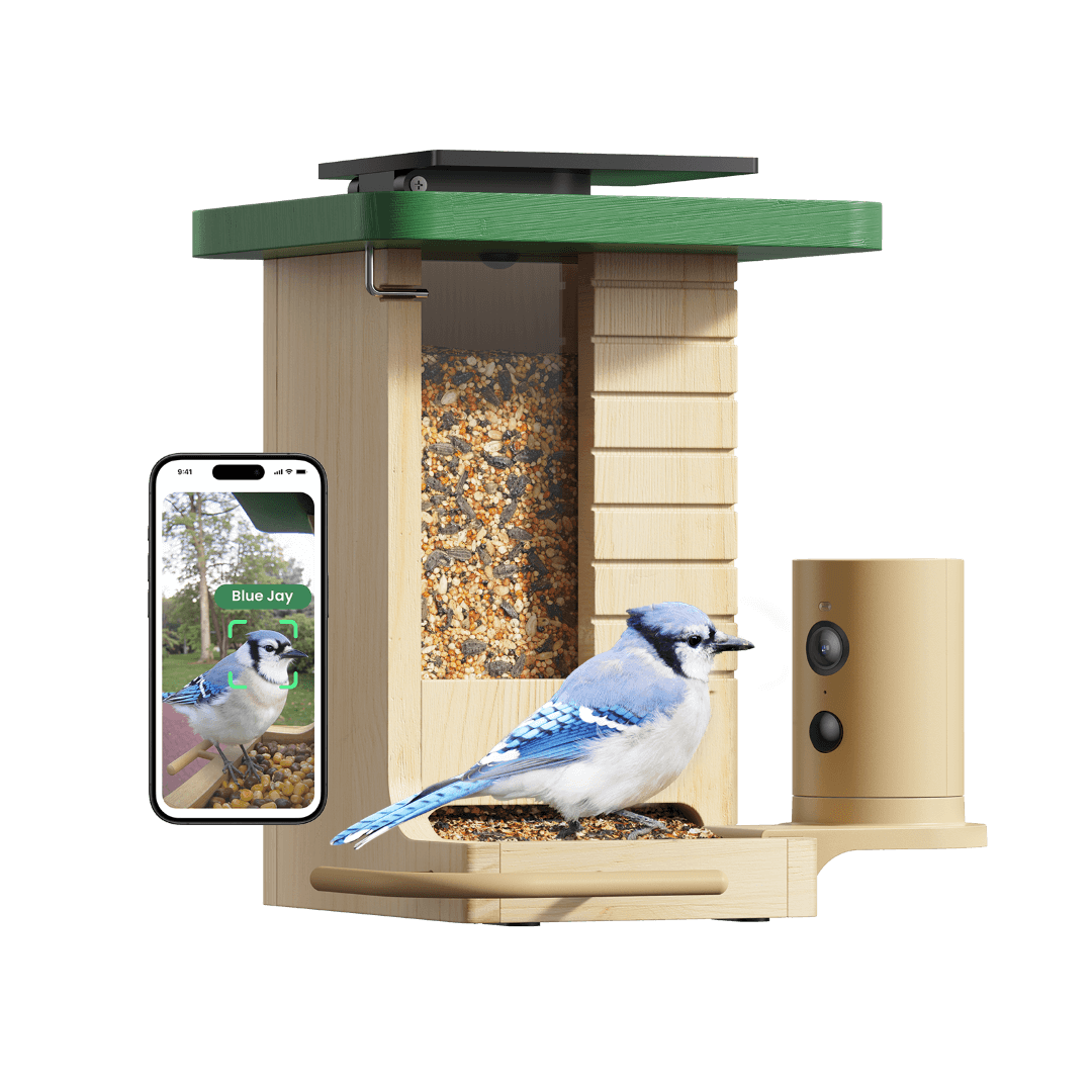 Birdfy Feeder Wood – Comedero Inteligente de Madera con Cámara