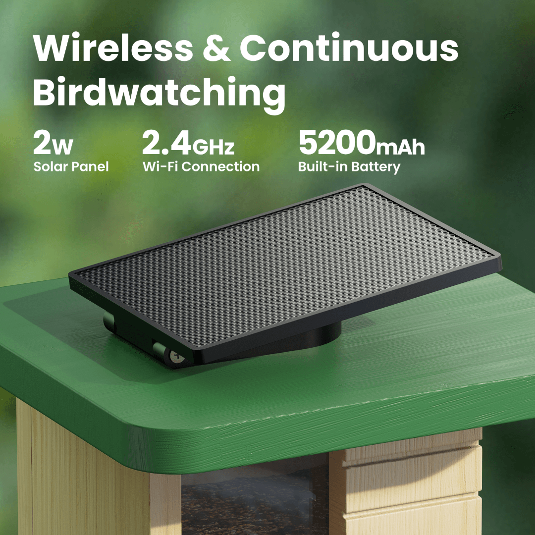 Birdfy Feeder Wood – Comedero Inteligente de Madera con Cámara