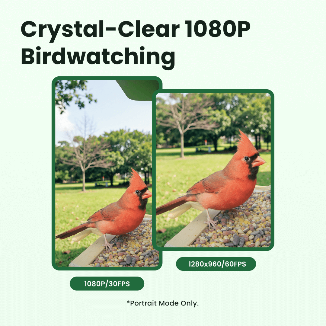 Birdfy Feeder Wood – Comedero Inteligente de Madera con Cámara