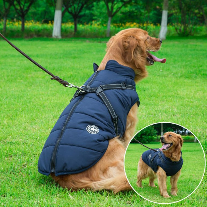 Chaqueta de invierno para perros