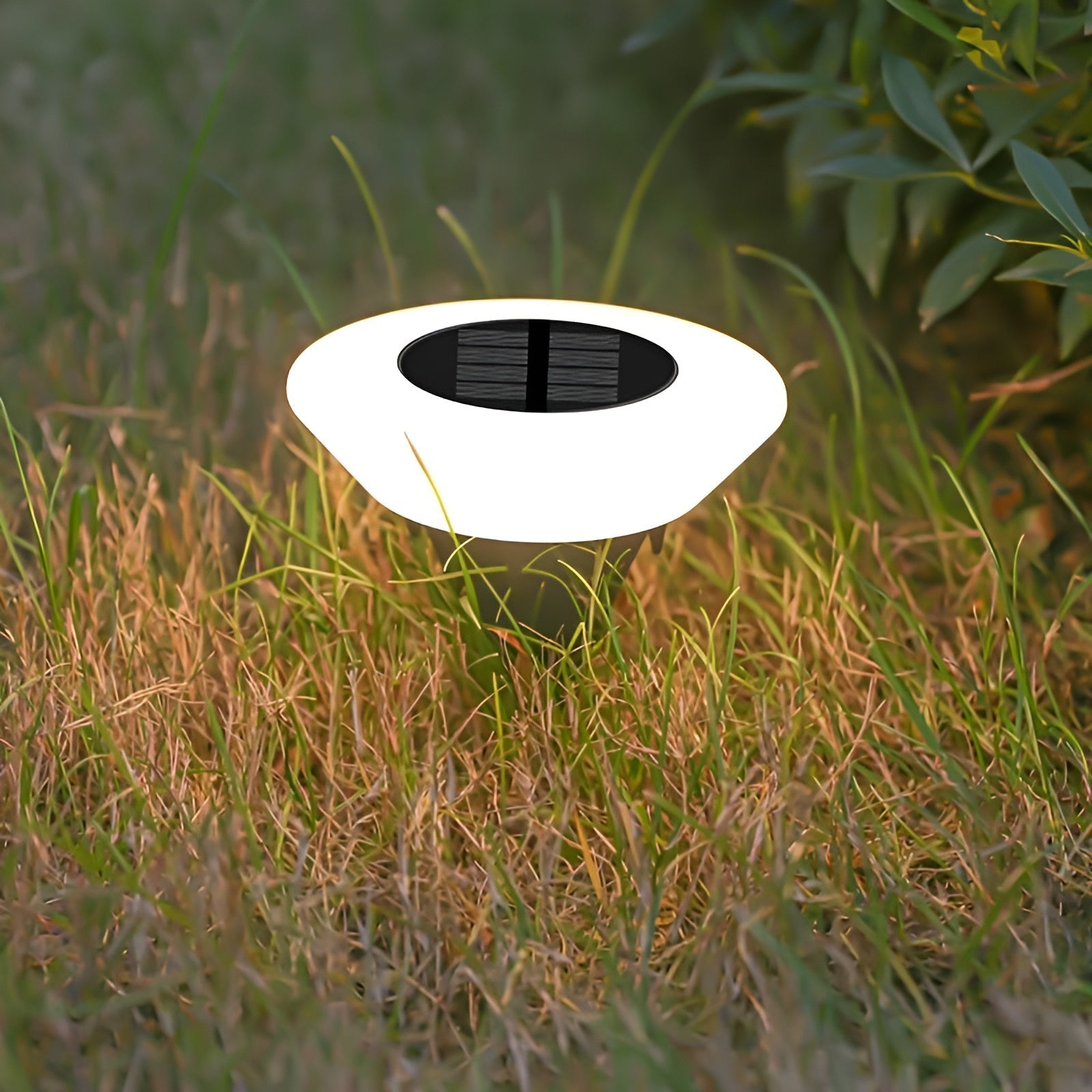 Luz solar LED para jardín | Iluminación exterior automática