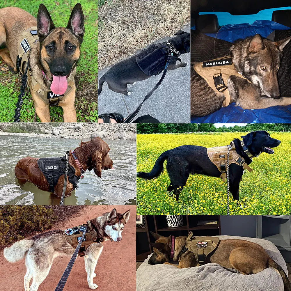 K9 Harness – Arnés táctico para perros