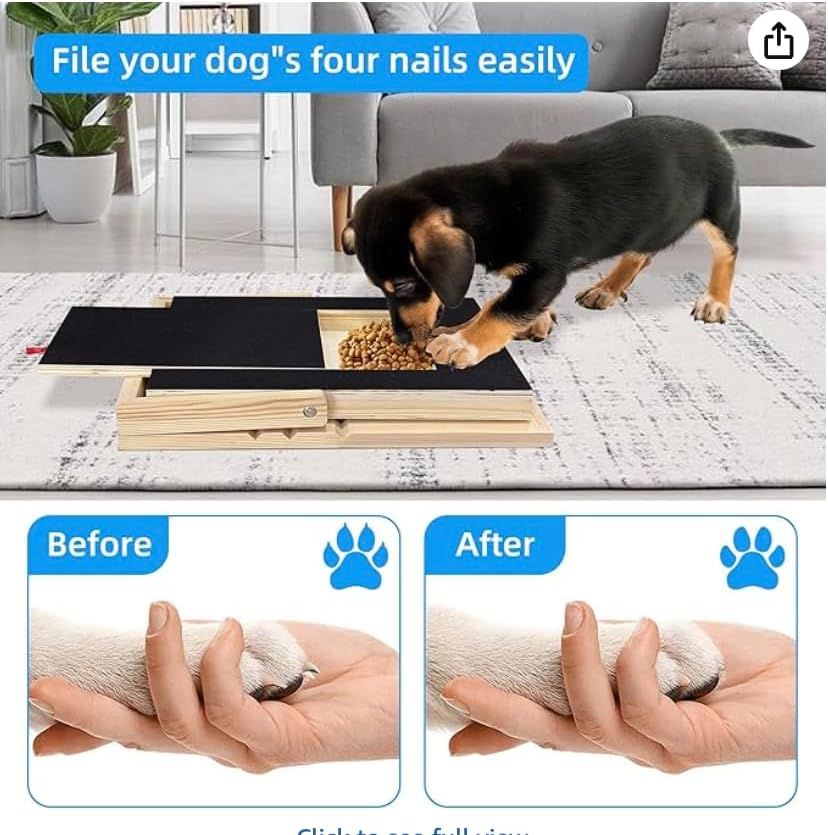 Tabla de rascar para uñas de perros con caja de golosinas