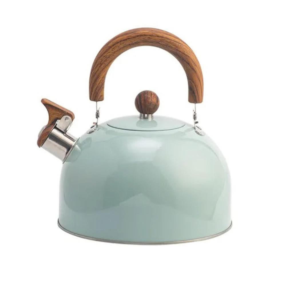 Hervidor de acero inoxidable para cocina – Diseño con silbato y mango ergonómico