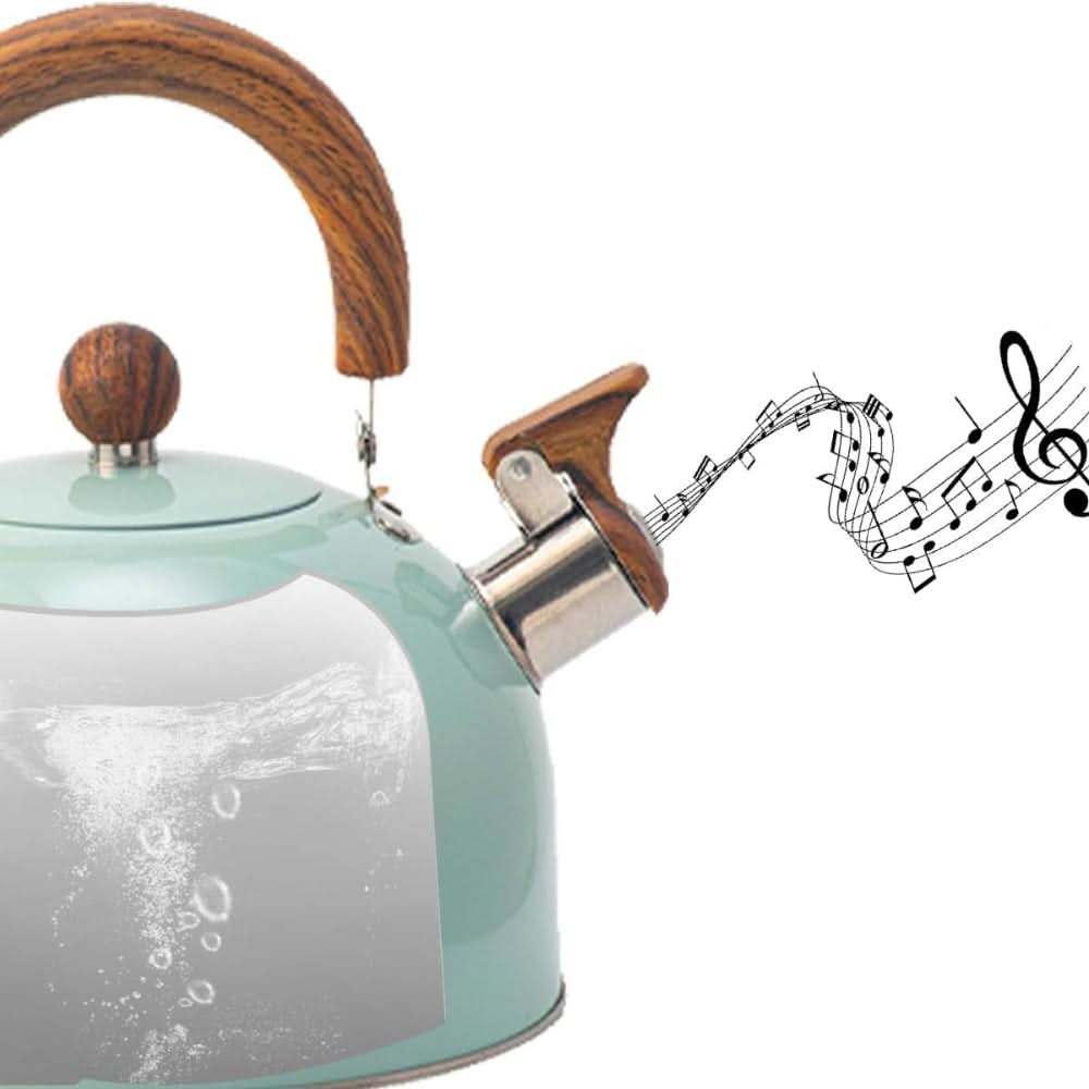 Hervidor de acero inoxidable para cocina – Diseño con silbato y mango ergonómico