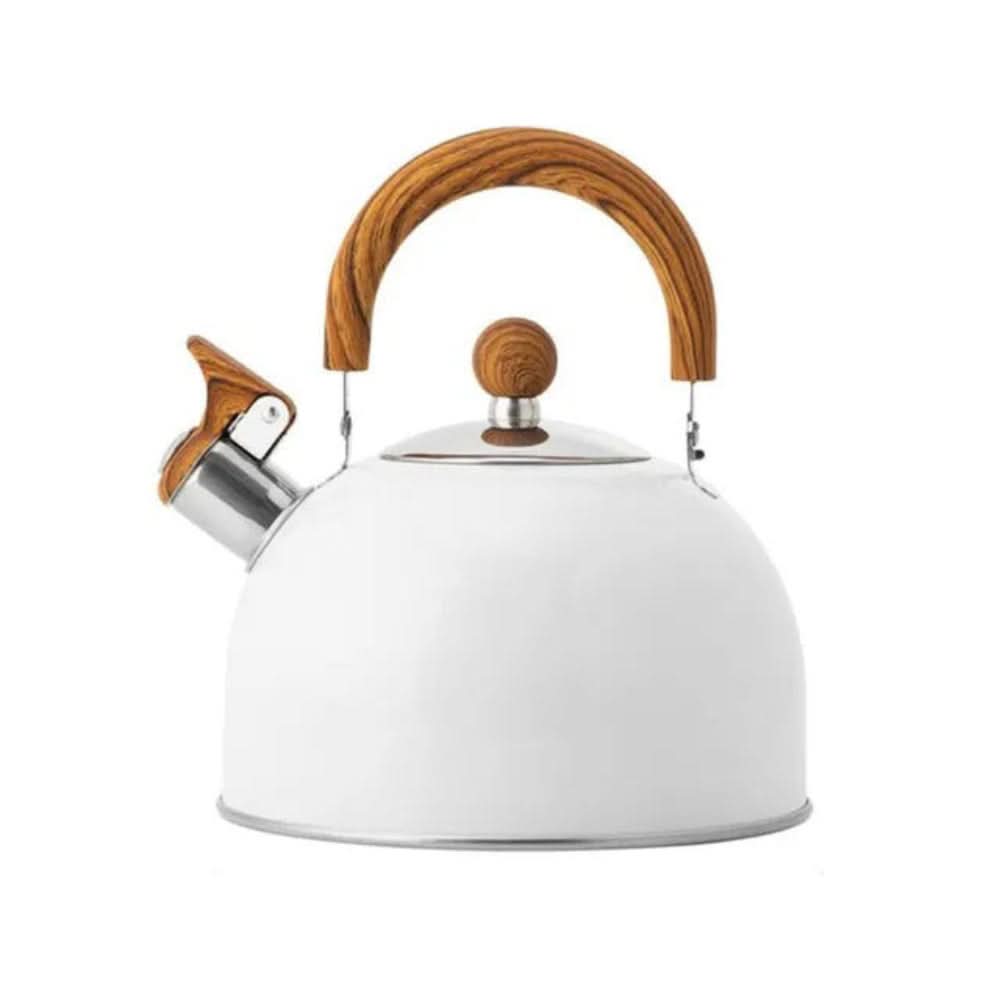 Hervidor de acero inoxidable para cocina – Diseño con silbato y mango ergonómico