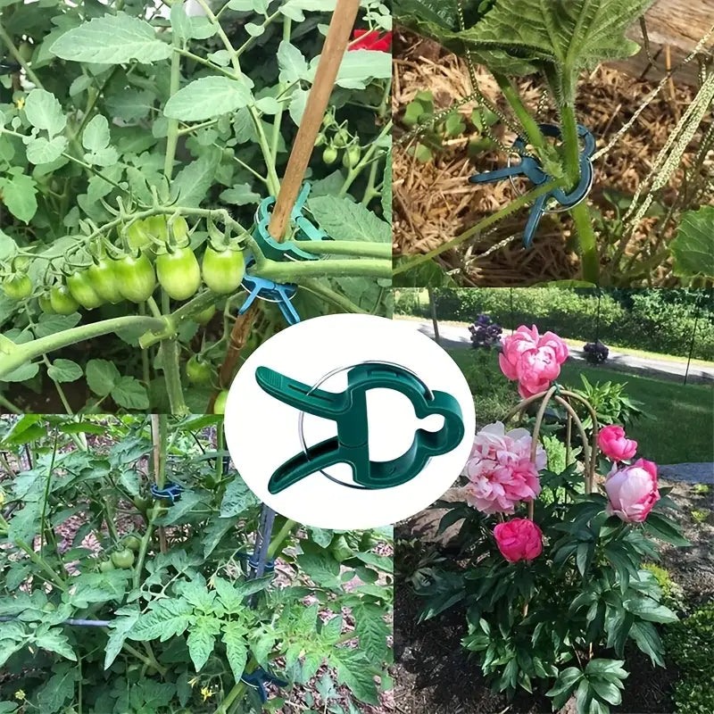 Clips para plantas de jardín | Soportes para sujeción y crecimiento