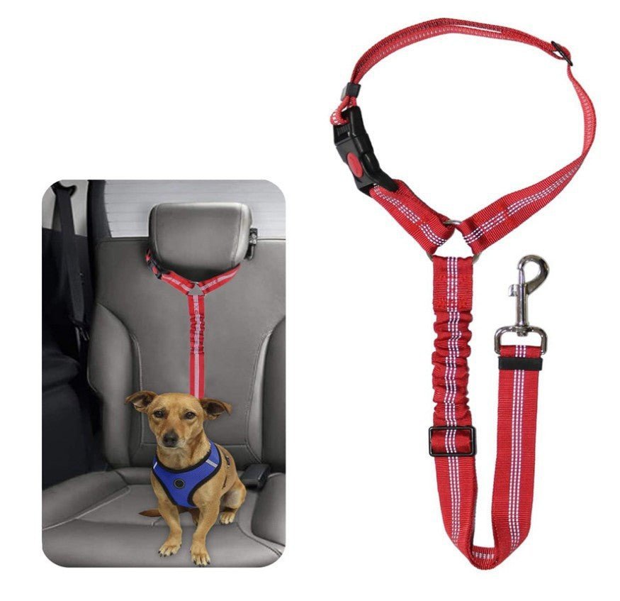 Cinturón de Seguridad para Coche