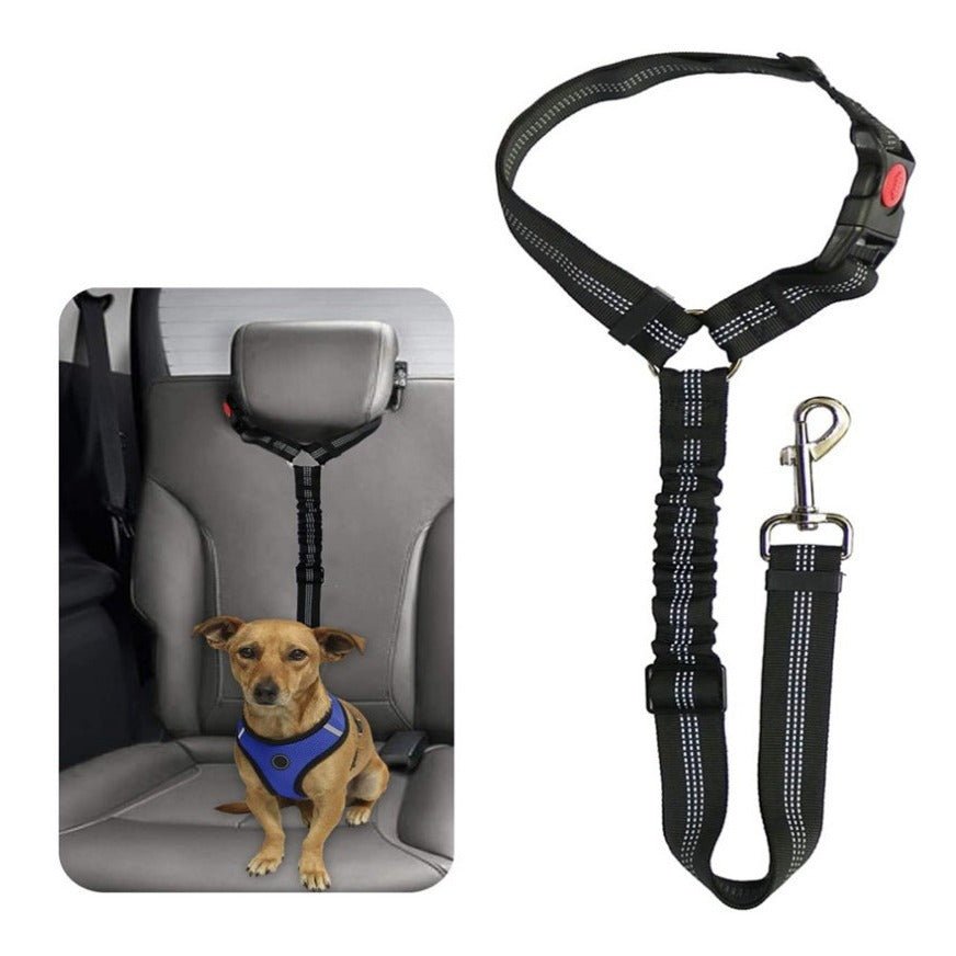 Cinturón de Seguridad para Coche