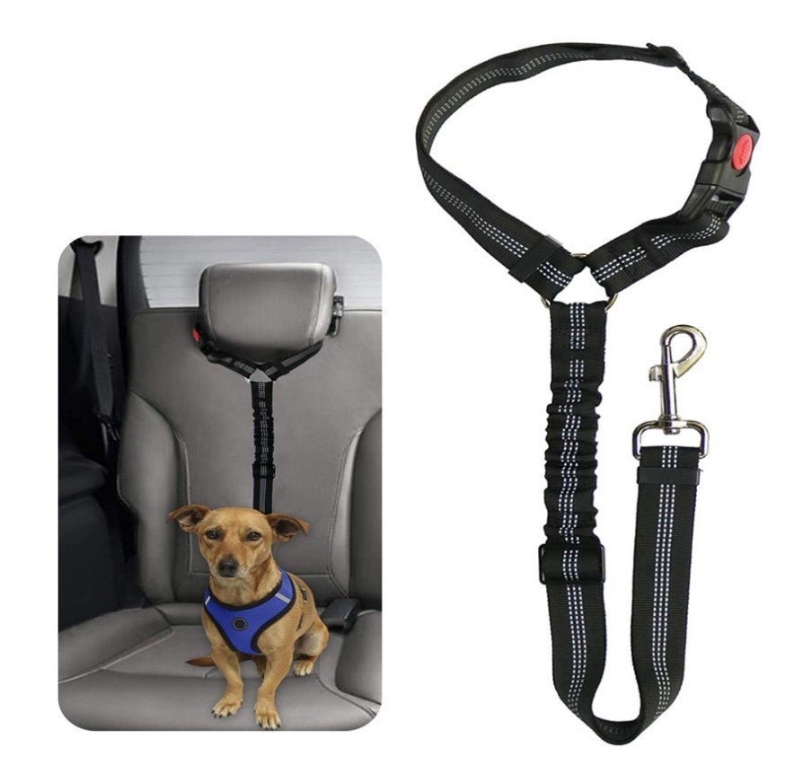 Cinturón de Seguridad para Coche