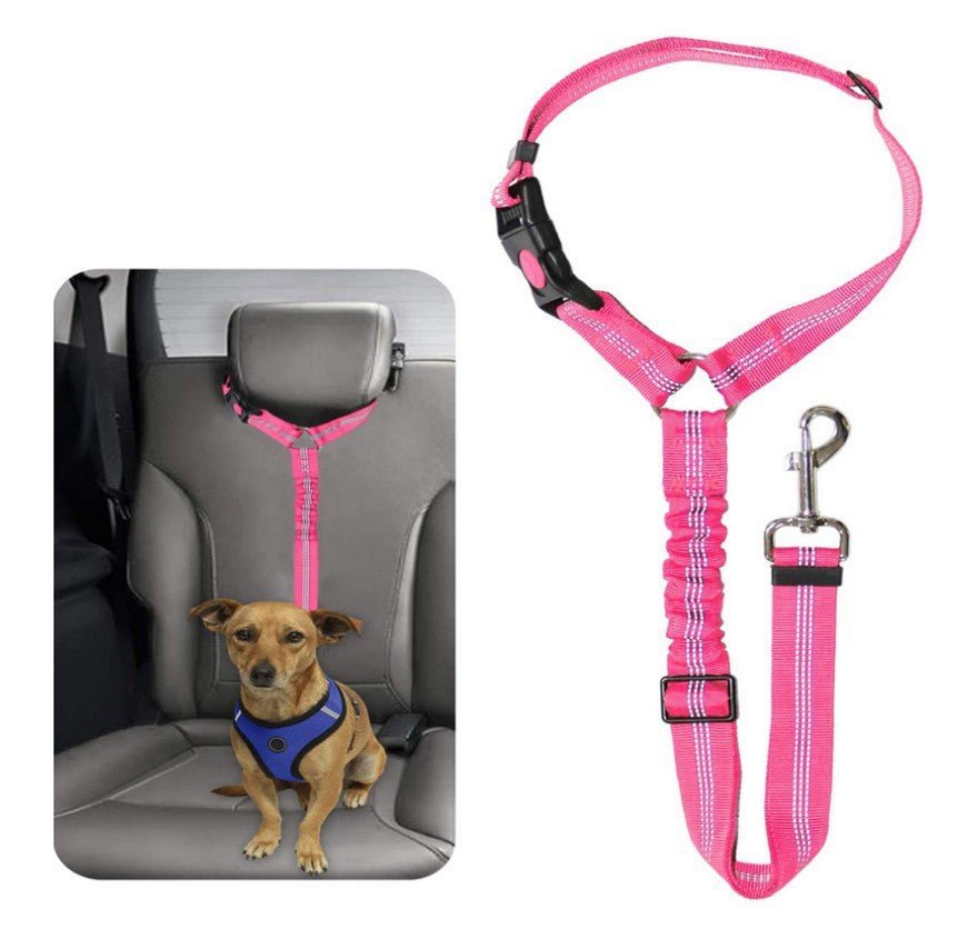 Cinturón de Seguridad para Coche