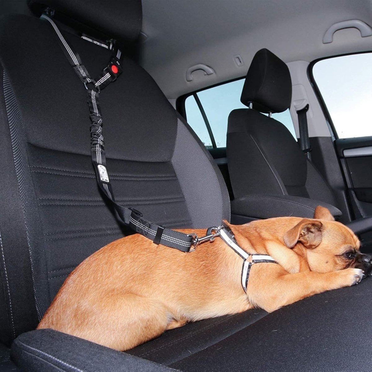 Cinturón de Seguridad para Coche