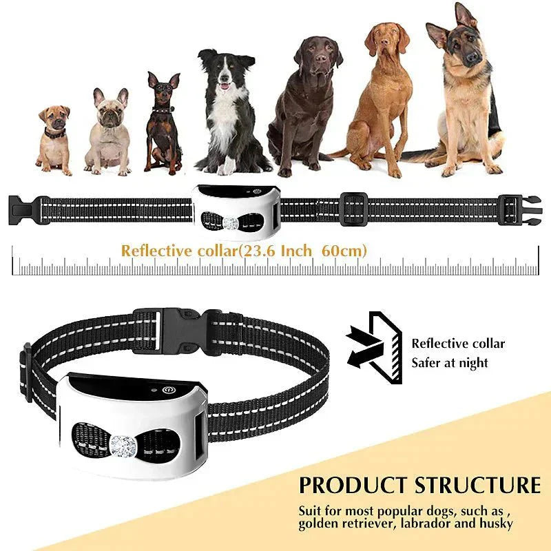 Cerramiento Inalámbrico y Collar de Adiestramiento para Perros 2 en 1 - PawGuard