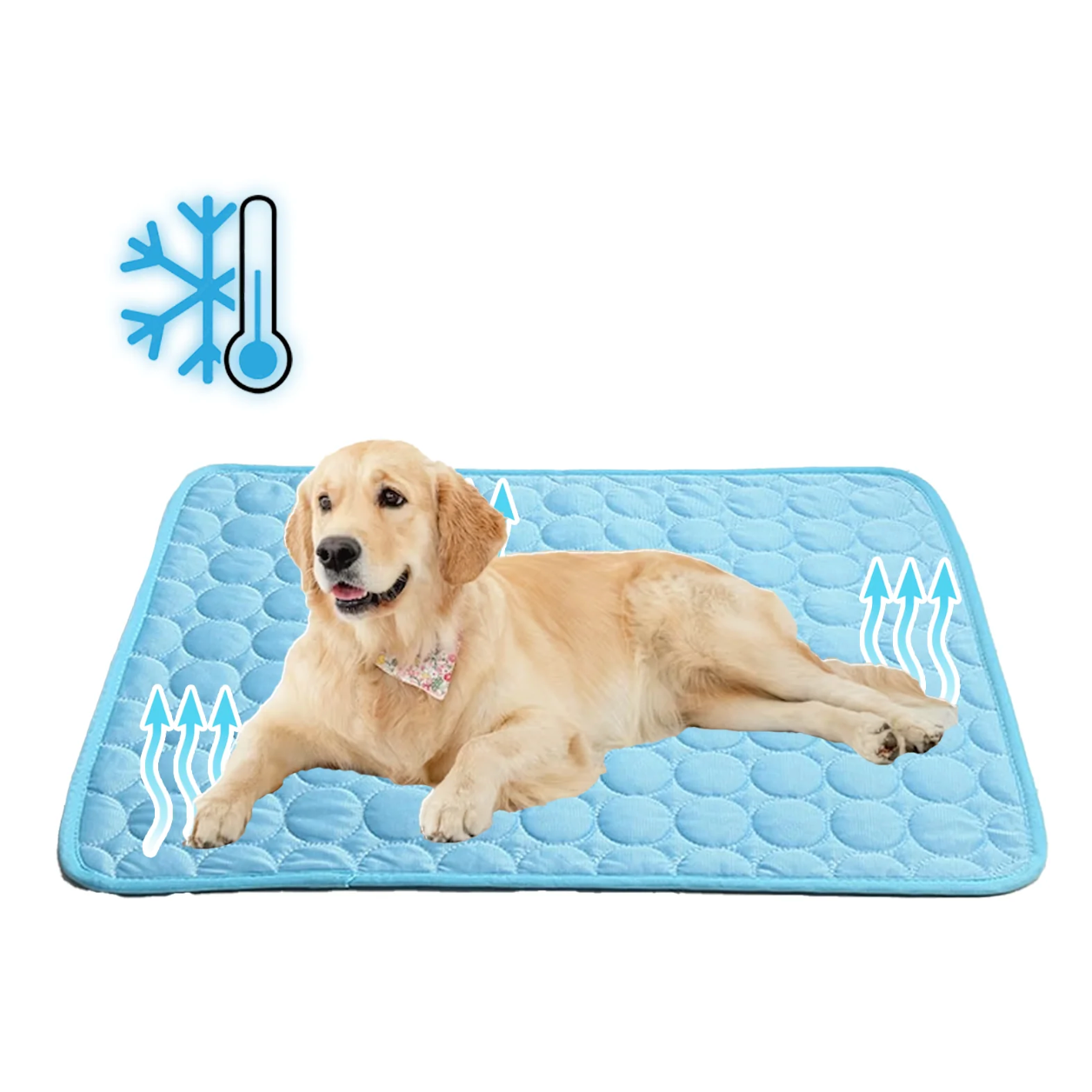 Alfombrilla refrigerante para mascotas resistente al calor