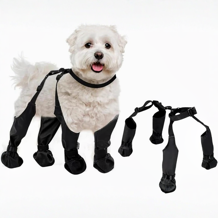 Botas ajustables antideslizantes para perro con protección todo clima
