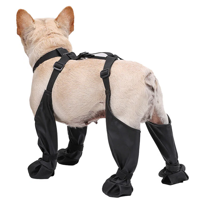 Botas ajustables antideslizantes para perro con protección todo clima