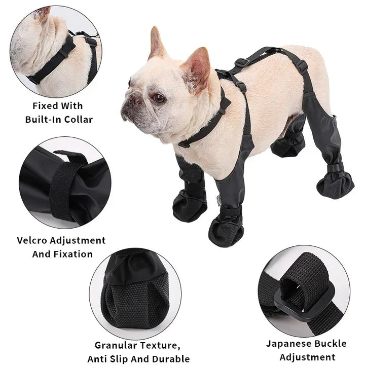 Botas ajustables antideslizantes para perro con protección todo clima
