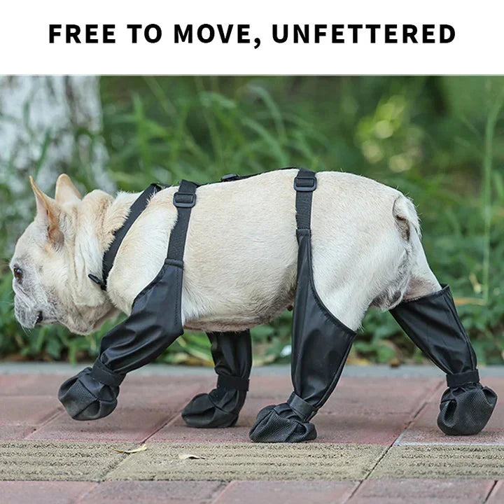 Botas ajustables antideslizantes para perro con protección todo clima