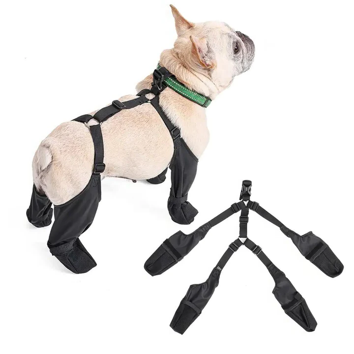 Botas ajustables antideslizantes para perro con protección todo clima