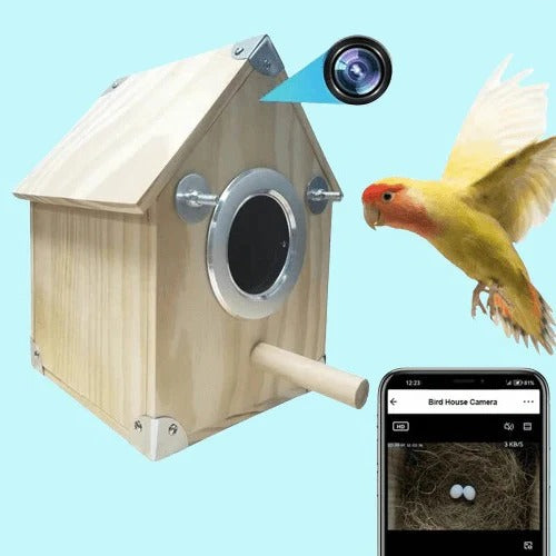 Caja nido con cámara para observación de aves