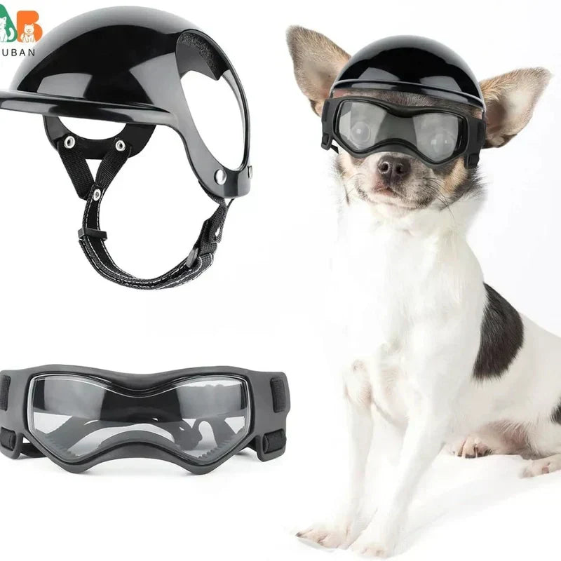 Casco para perros con gafas de protección ocular