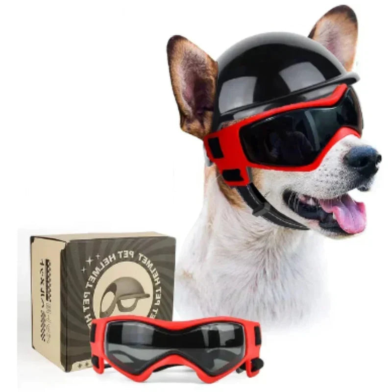Casco para perros con gafas de protección ocular