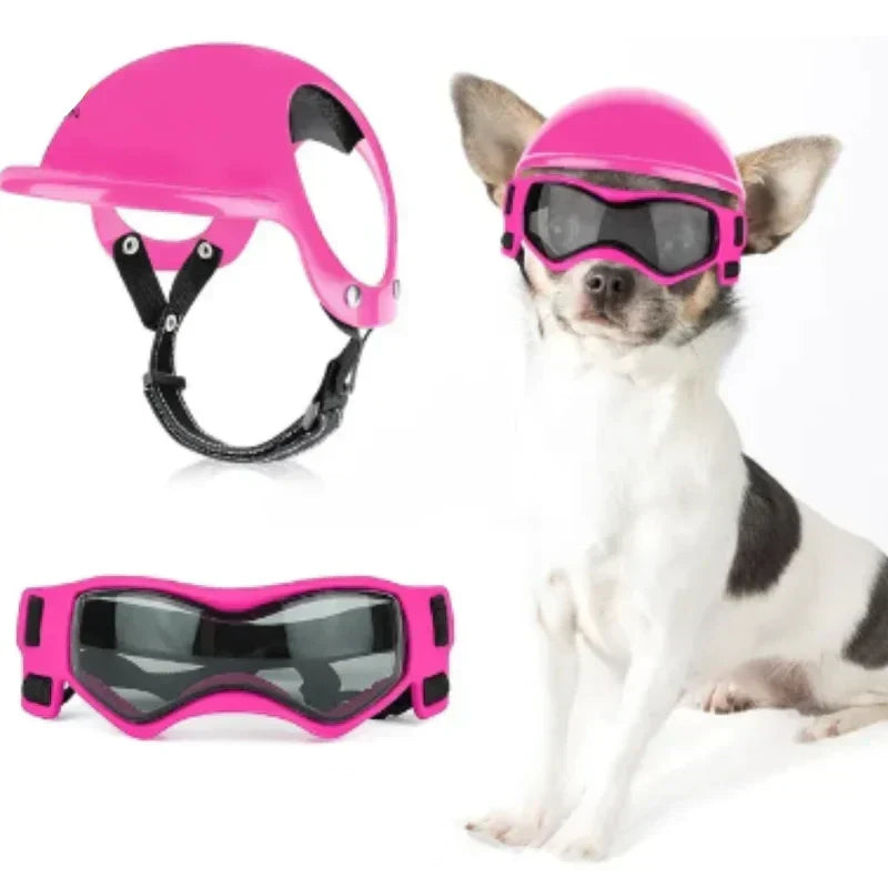 Casco para perros con gafas de protección ocular