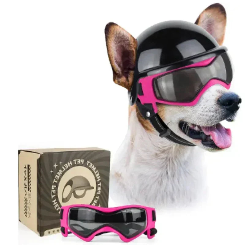 Casco para perros con gafas de protección ocular
