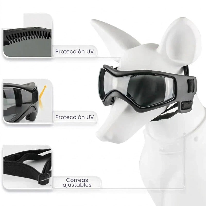 Casco para perros con gafas de protección ocular