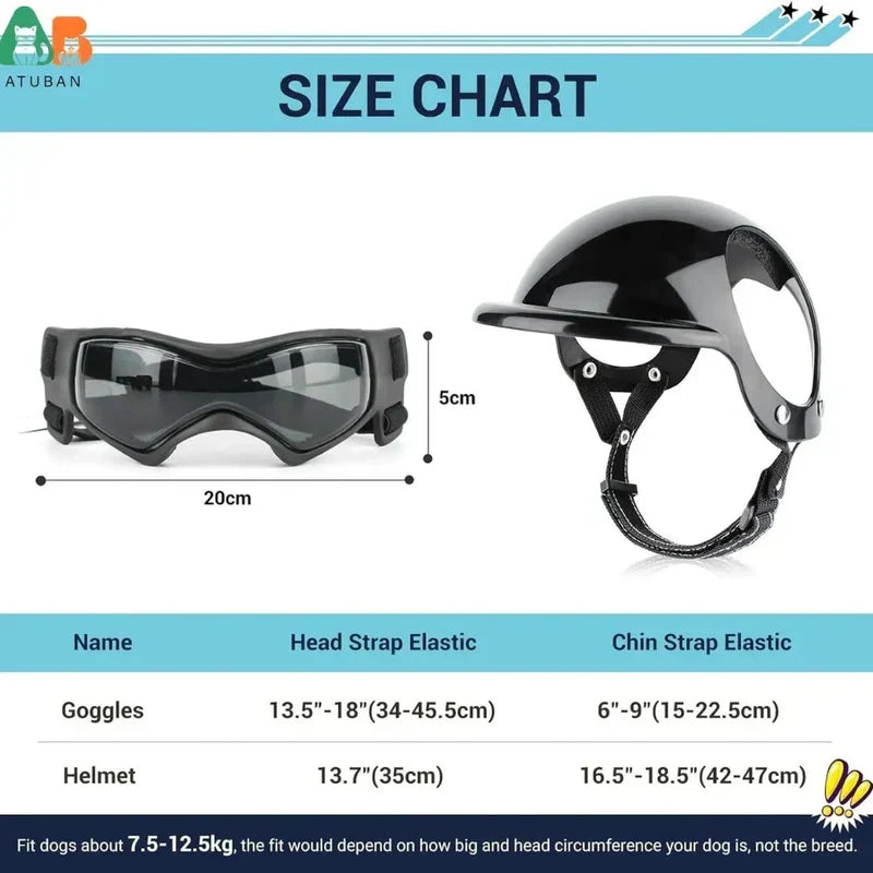 Casco para perros con gafas de protección ocular