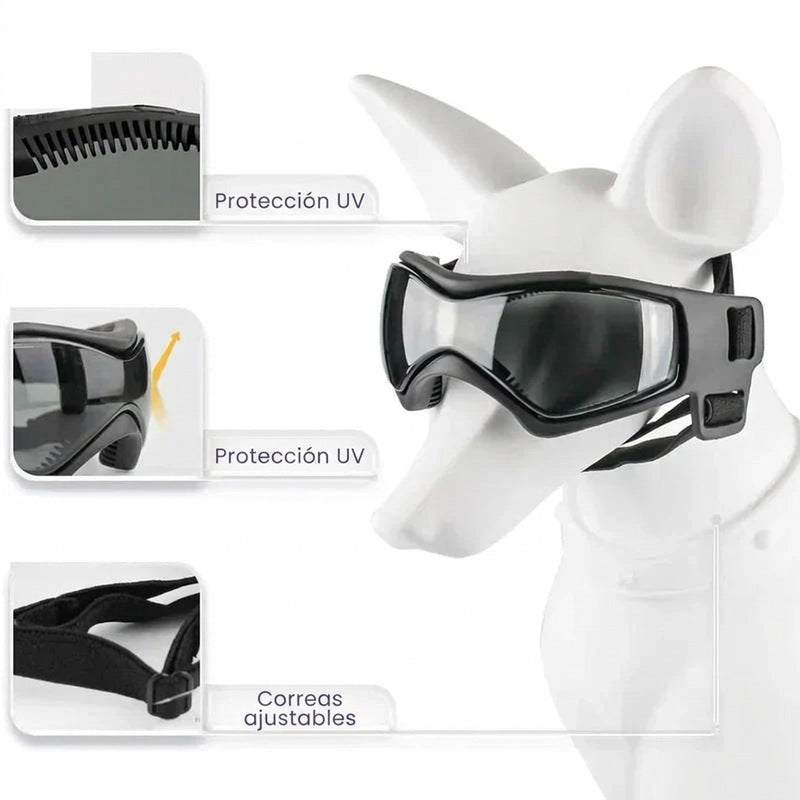 Casco para perros con gafas de protección ocular