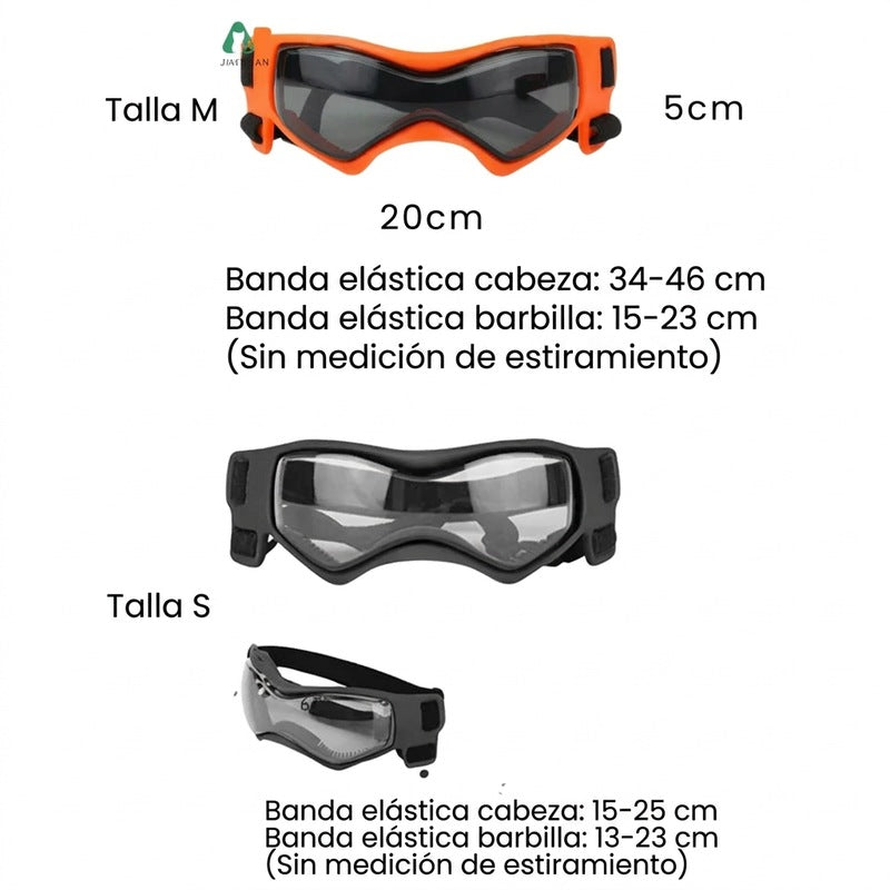 Casco para perros con gafas de protección ocular