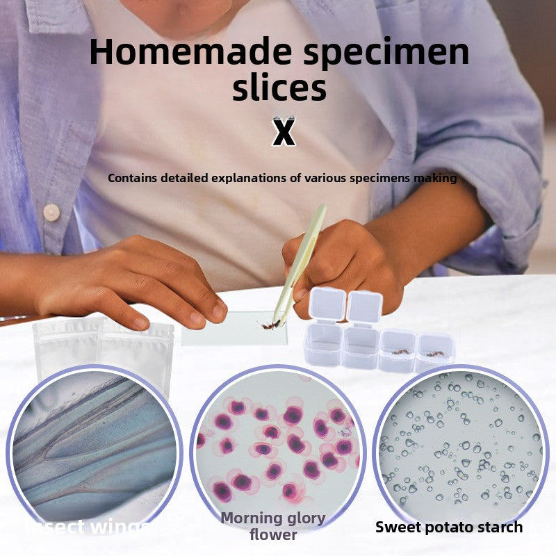 Kit de microscopio portátil para niños – Ciencia práctica y emocionante desde casa