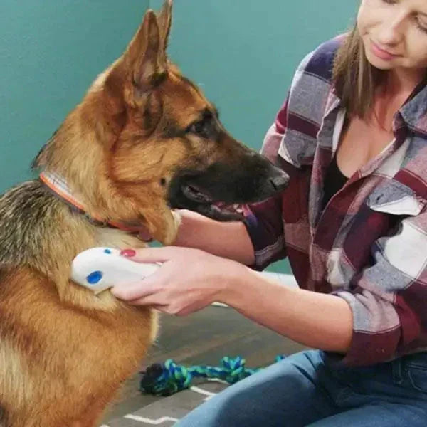 Peine eléctrico antipulgas para mascotas