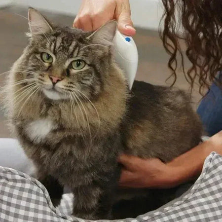 Peine eléctrico antipulgas para mascotas