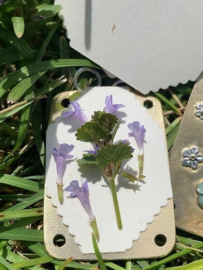 Prensa mini para flores