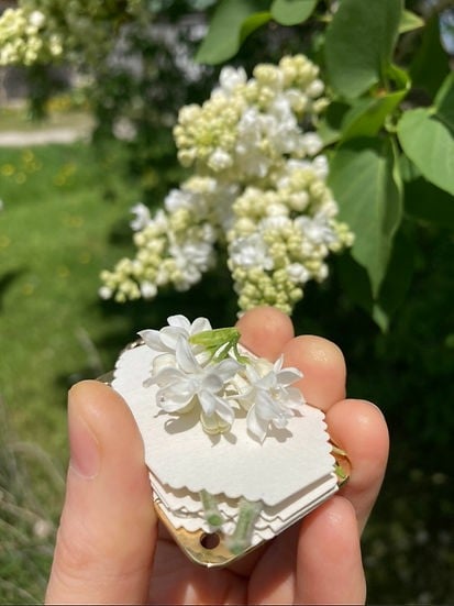 Prensa mini para flores