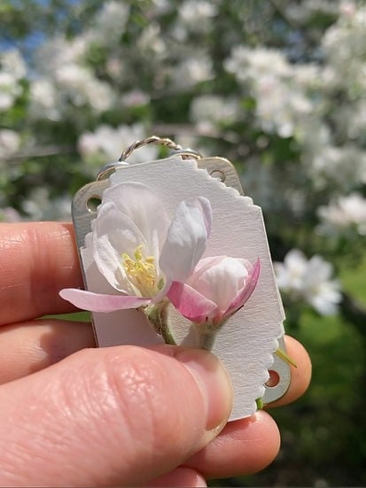 Prensa mini para flores