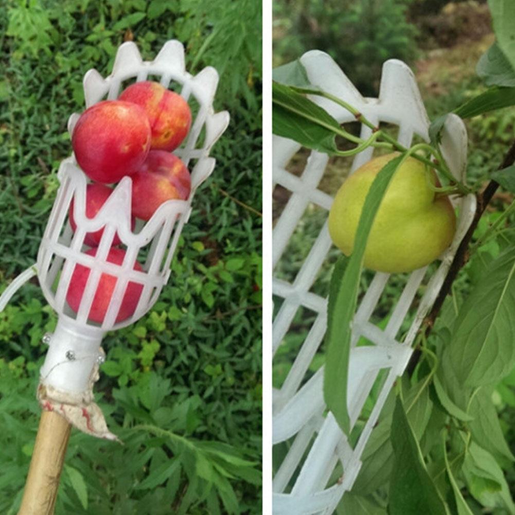 Recolector de fruta telescópico con cesta