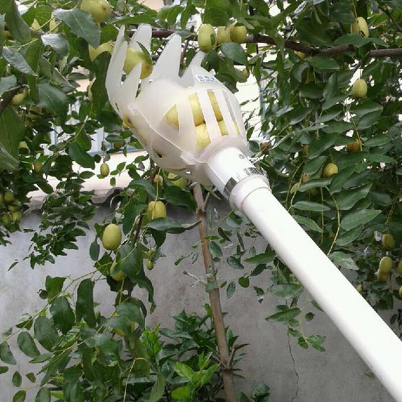 Recolector de fruta telescópico con cesta