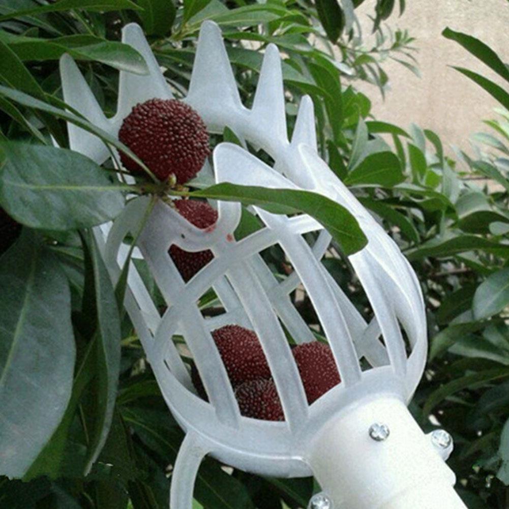Recolector de fruta telescópico con cesta