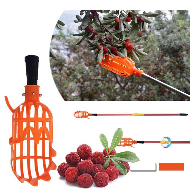 Recolector de fruta telescópico con cesta