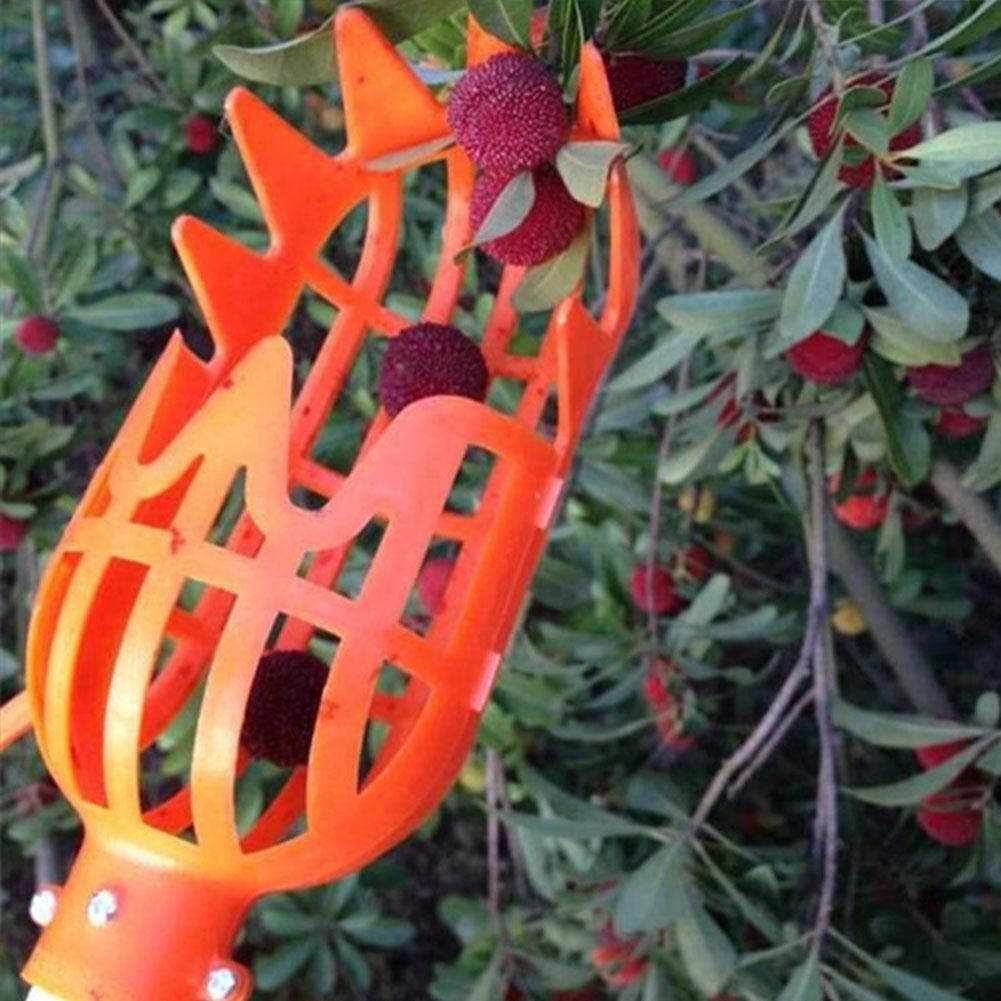 Recolector de fruta telescópico con cesta