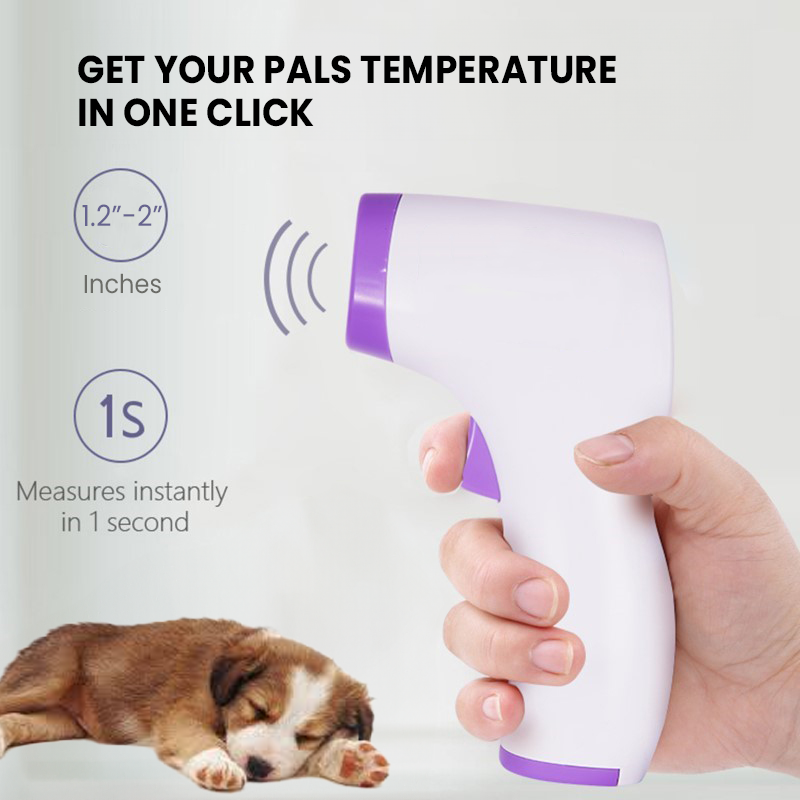 Termómetro sin contacto para perros con lectura de un clic
