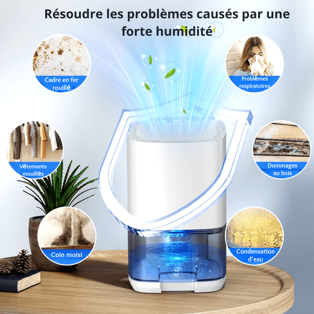 Deshumidificador de aire 1000 mL – Absorbedor de humedad eficaz, profesional y silencioso.