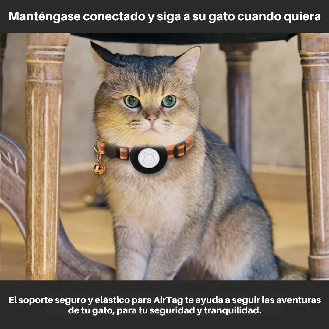 Collar GPS para Gatos con Cierre de Liberación Rápida | Seguridad y Comodidad en Cada Aventura