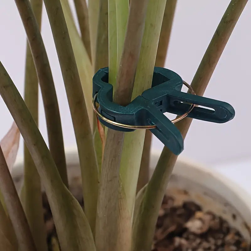 Clips para plantas de jardín | Soportes para sujeción y crecimiento