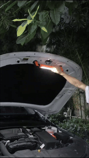 Dmax | Luz de trabajo LED magnética de emergencia