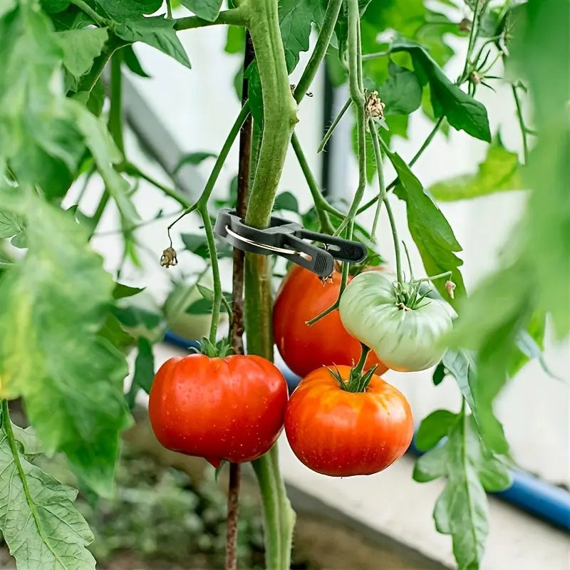 Clips para plantas de jardín | Soportes para sujeción y crecimiento