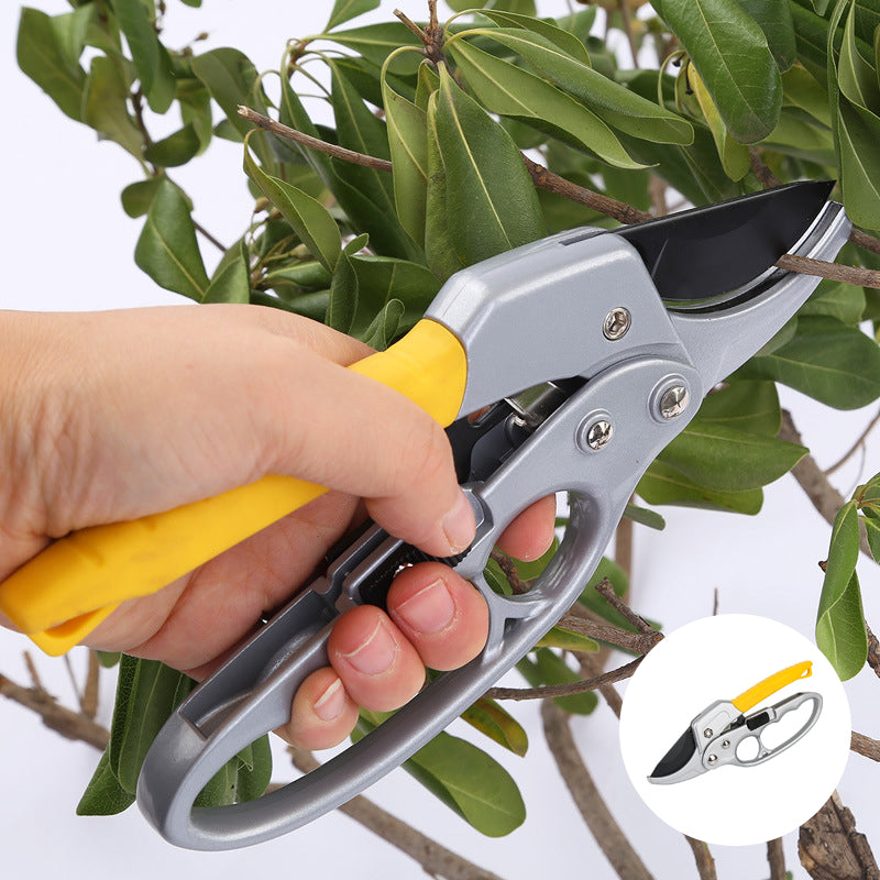 Cortasetos profesional para jardín | Herramienta de poda precisa